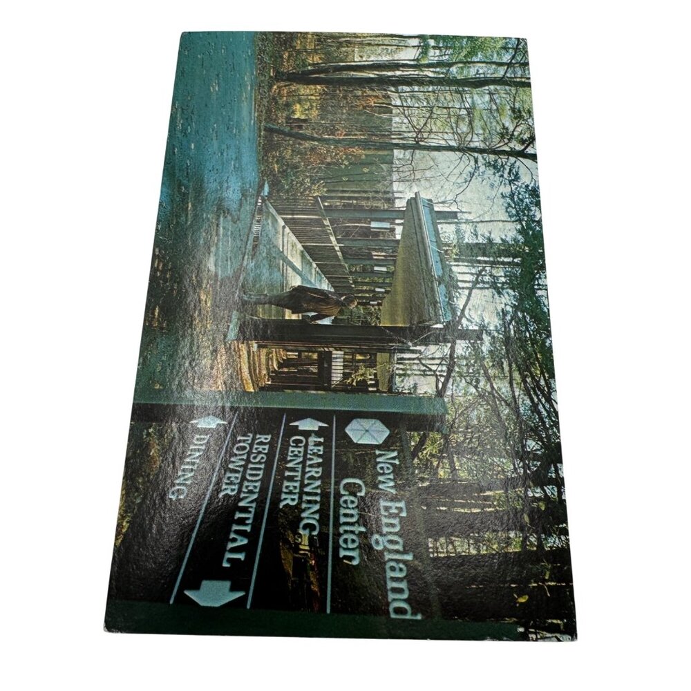 Vintage New England Center Postcard With Forest Path Scene